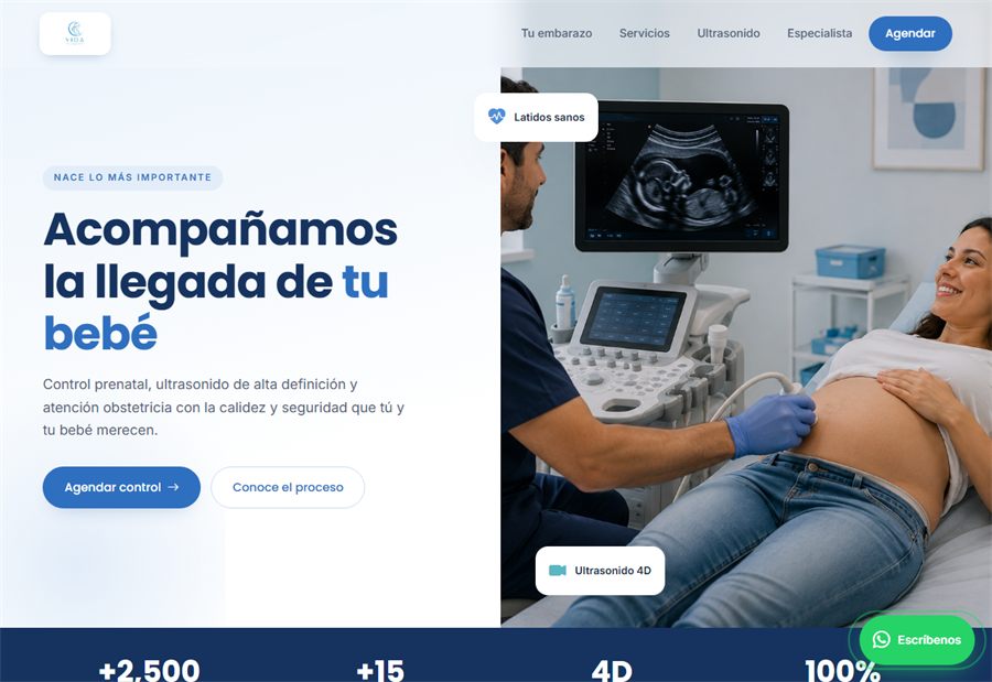 Captura del sitio VIDA